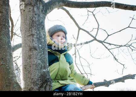 jeune garçon à la recherche heureux de grimper un arbre lors d'une belle journée d'hiver Banque D'Images