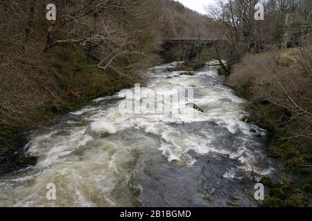 La rivière Ogwen, au nord du Pays de Galles, a sa principale source dans le lac Ogwen à Snowdonia, mais ici, en scate, traverse une vallée boisée dans ses tronçons inférieurs. Banque D'Images