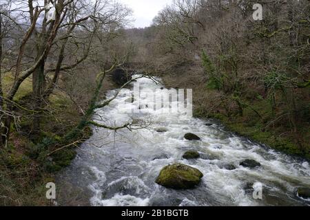 La rivière Ogwen, au nord du Pays de Galles, a sa principale source dans le lac Ogwen à Snowdonia, mais ici, en scate, traverse une vallée boisée dans ses tronçons inférieurs. Banque D'Images