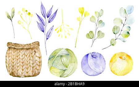 Kit de tricotage avec plantes. Fils d'aquarelle avec éléments botaniques. Eucalyptus, baies jaunes, feuillage vert, boulettes de laine, panier en osier. Illustration Banque D'Images