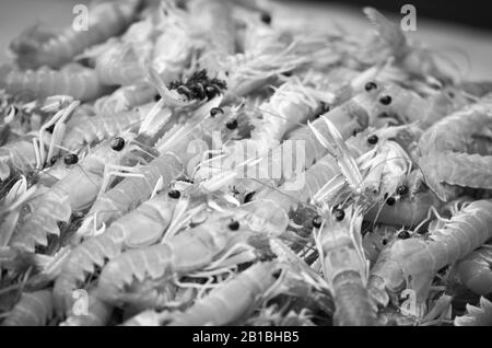 fruits de mer frais de mélange dans le marché du poisson - poulpe, coquillages, huîtres, crevettes, calamari, poisson Banque D'Images