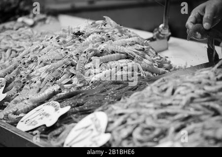 fruits de mer frais de mélange dans le marché du poisson - poulpe, coquillages, huîtres, crevettes, calamari, poisson Banque D'Images