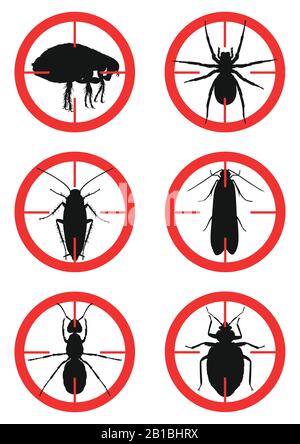 Jeu de signes d'avertissement avec insectes. Ravageurs. Illustration vectorielle Illustration de Vecteur
