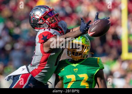 Tampa, Floride, États-Unis. 22 février 2020. Le grand récepteur CAM PHILLIPS (14) des Roughnecks de Houston manque une prise pendant le jeu XFL Tampa Bay Vipers vs Houston Roughnecks au stade Raymond James de Tampa, Fl le 22 février 2020. Crédit: Cory Knowlton/Zuma Wire/Alay Live News Banque D'Images