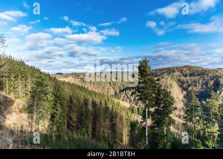 Vue sur les collines et vallées boisées. Ciel bleu avec nuages. Matin dans les bois en République tchèque. Beau paysage. Banque D'Images