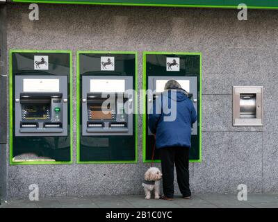 Femme et chien à un point d'argent à Swansea, au sud du Pays de Galles. La banque est Lloyds et il y a une rangée de trois ATM. Banque D'Images