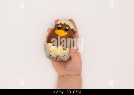 Enfant tenant une figurine de poulet au chocolat hachée à partir d'un oeuf pour Pâques Banque D'Images