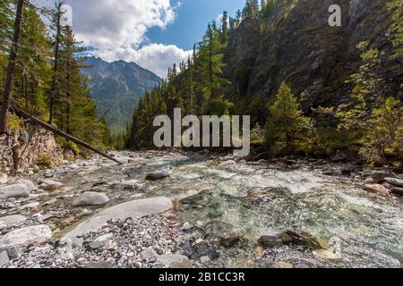 Rivière de montagne dans une gorge avec arbres et rochers le long des bords. Tronc d'arbre tombé dans la rivière. Ensoleillé. Une montagne avec des nuages au loin. Horiz Banque D'Images