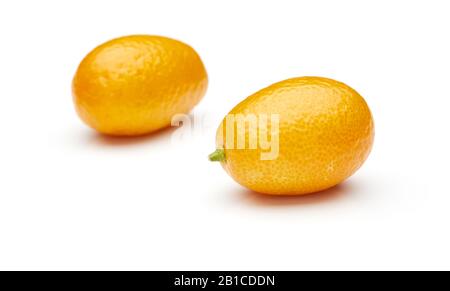 Kumquat Isolé Sur Fond Blanc Banque D'Images