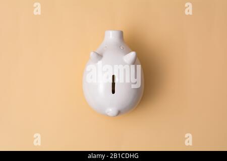 Banc de porc blanc sur fond beige Banque D'Images
