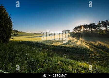 Paysage de terrain en morninglight, Allemagne, Rhénanie-du-Nord-Westphalie, Eifel Banque D'Images