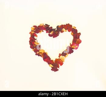 Coeur créé à partir de pétales de rose rouges séchés sur fond blanc pour créer une image tridimensionnelle
