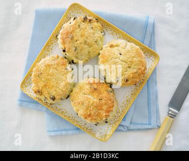 Scones dorés frais sur plaque carrée sur fond bleu et blanc. Photo de dessus en composition à couche plate. Banque D'Images