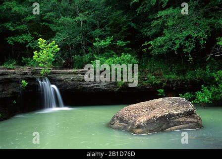 Haw Creek Falls, Ozark National Forest, Illinois Banque D'Images