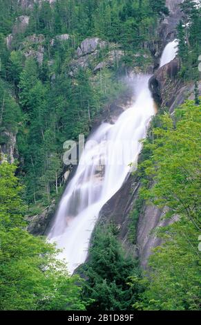Shannon Falls, Shannon Falls Provincial Park, British Columbia, Canada Banque D'Images