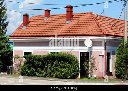 Petite maison familiale de banlieue entièrement rénovée avec nouvelle façade et tuiles de toit entourées de plantes de jardin de fleurs et de fils électriques à côté de pavés Banque D'Images