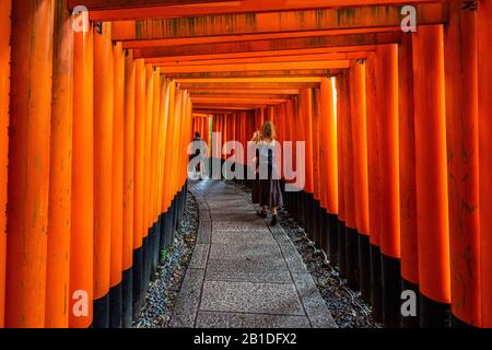 Un sentier pédestre mène à travers un tunnel de portes torii au sanctuaire de Fushimi Inari, Kyoto, Japon Banque D'Images