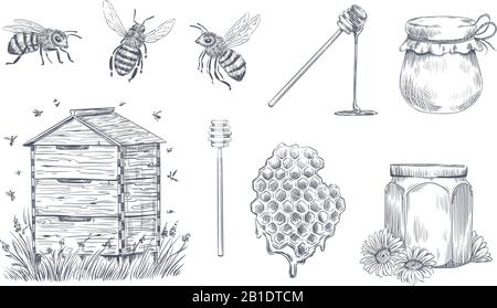 Gravure d'abeilles miel. Apiculture dessinée à la main, ferme de miel ancienne et illustration vectorielle de pollen d'abeilles en miel Illustration de Vecteur