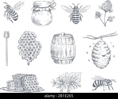 Gravure d'abeilles. Abeilles miel, ferme apicole et nid d'abeilles vintage dessiné à la main illustration vectorielle Illustration de Vecteur