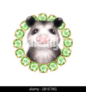 Portrait d'opossum en blanc. Animal mignon avec des pierres précieuses Banque D'Images