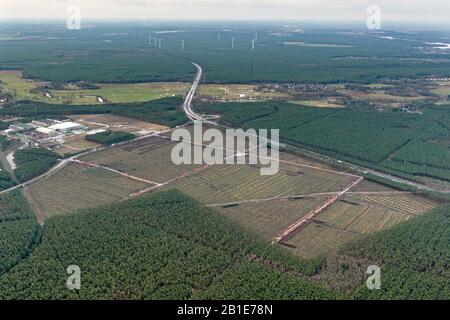 Grünheide, Allemagne. 25 février 2020. 25 février 2020, Brandebourg, Grünheide: Vue du site de l'usine de Tesla. Dans quelques jours, Tesla avait des arbres abattus sur une partie du site pour la première usine prévue en Europe - interrompu par un arrêt de cour qui a été levé. Photo: Tino Schöning/dpa Credit: DPA Picture Alliance/Alay Live News Banque D'Images