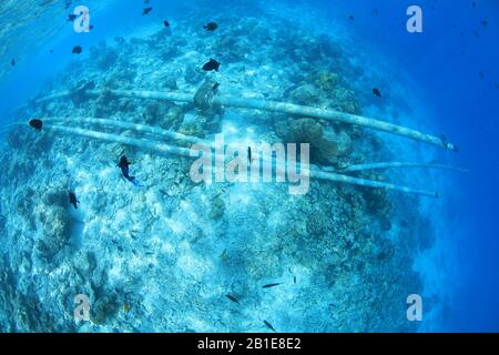 Conduites d'eaux usées d'égouts sous l'eau dans le récif tropical de corail de l'océan indien Banque D'Images