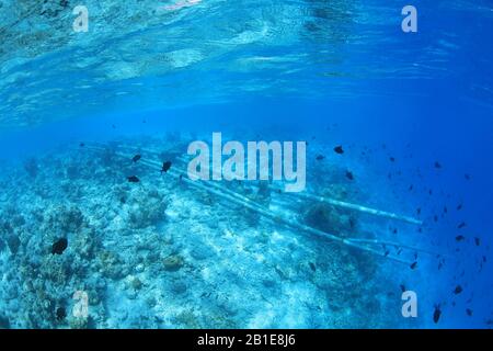 Conduites d'eaux usées d'égouts sous l'eau dans le récif tropical de corail de l'océan indien Banque D'Images