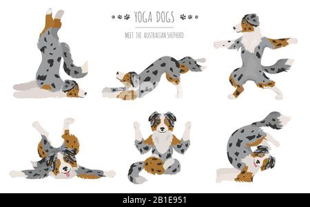 Les chiens et les exercices de yoga pose. Clipart berger australien. Vector illustration Illustration de Vecteur