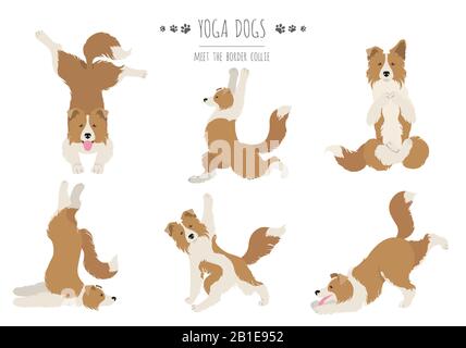 Les chiens de yoga poses et exercices affiche design. Bordure de la clipart de collie. Illustration vectorielle Illustration de Vecteur