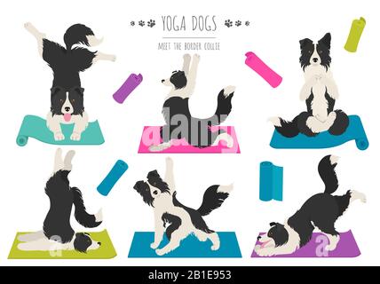 Les chiens de yoga poses et exercices affiche design. Bordure de la clipart de collie. Illustration vectorielle Illustration de Vecteur