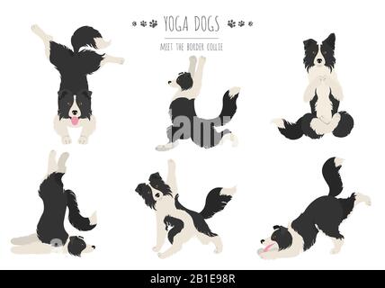 Les chiens de yoga poses et exercices affiche design. Bordure de la clipart de collie. Illustration vectorielle Illustration de Vecteur