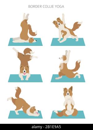 Les chiens de yoga poses et exercices affiche design. Bordure de la clipart de collie. Illustration vectorielle Illustration de Vecteur