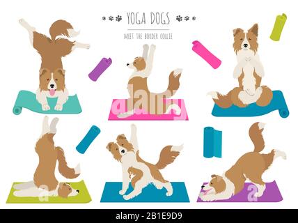 Les chiens de yoga poses et exercices affiche design. Bordure de la clipart de collie. Illustration vectorielle Illustration de Vecteur