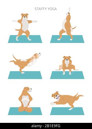 Les chiens de yoga poses et exercices affiche design. Staffordshire bull terrier clipart. Illustration vectorielle Illustration de Vecteur