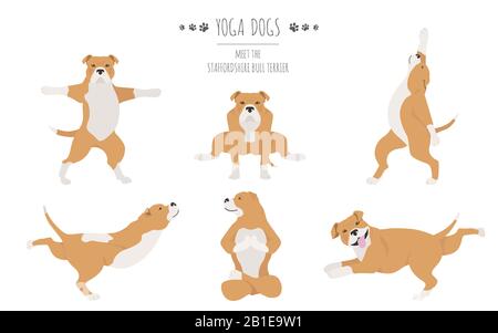 Les chiens de yoga poses et exercices affiche design. Staffordshire bull terrier clipart. Illustration vectorielle Illustration de Vecteur