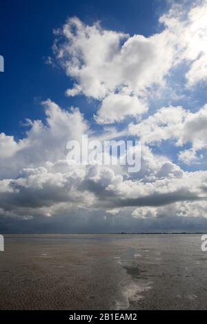 Marée basse à Westerschelde, Pays-Bas, Zélande, Zuid-Beveland Banque D'Images