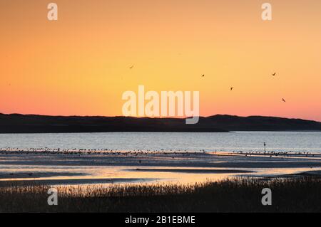 Lever du soleil sur la plage en hiver, Pays-Bas, Texel Banque D'Images