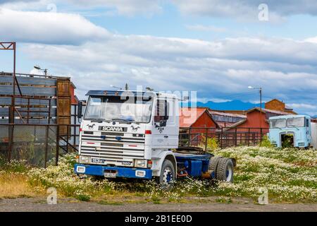 Des taxis de camion désutilisés stationnés dans un champ fleuri de Puerto Bories, un petit village près de Puerto Natales, Patagonia, région de Magallanes, dans le sud du Chili Banque D'Images