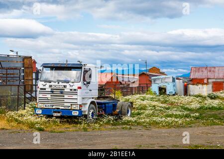 Des taxis de camion désutilisés stationnés dans un champ fleuri de Puerto Bories, un petit village près de Puerto Natales, Patagonia, région de Magallanes, dans le sud du Chili Banque D'Images