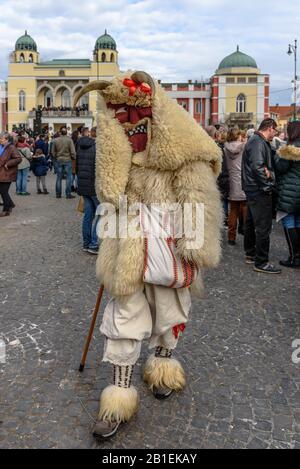 Un buso masqué marchant dans la procession lors de la célébration du carnaval Busojaras de 2020 à Mohacs, en Hongrie Banque D'Images