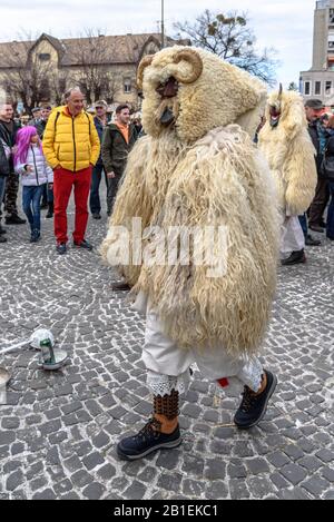 Un buso masqué marchant dans la procession lors de la célébration du carnaval Busojaras de 2020 à Mohacs, en Hongrie Banque D'Images