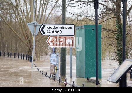 Bewdley, Worcestershire, Royaume-Uni. 25 février 2020. La rivière Severn à Bewdley continue de croître après que la pluie ait augmenté au Pays de Galles le week-end dernier. Malgré les barrières aux inondations, l'eau continue d'inonder le bord de la rivière. Crédit: Peter Loppeman/Alay Live News Banque D'Images