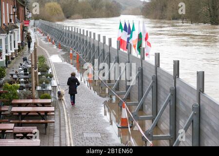 Bewdley, Worcestershire, Royaume-Uni. 25 février 2020. La rivière Severn à Bewdley continue de croître après que la pluie ait augmenté au Pays de Galles le week-end dernier. Les barrières anti-inondation ont été réérigées au cours des 48 dernières heures. Crédit: Peter Loppeman/Alay Live News Banque D'Images