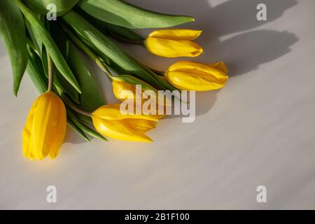 Un bouquet de tulipes jaunes se trouve dans le coin supérieur gauche d'une table blanche au soleil. Vue de dessus. Fermer L'Espace De Copie Banque D'Images