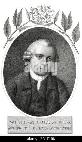 William CURTIS (1746-1799) botaniste et entomologue anglais Banque D'Images