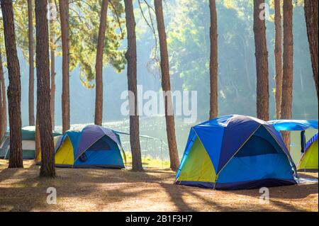 Camping dansant dans la forêt de Pang Ung, province de Mae Hong son, Thaïlande Banque D'Images