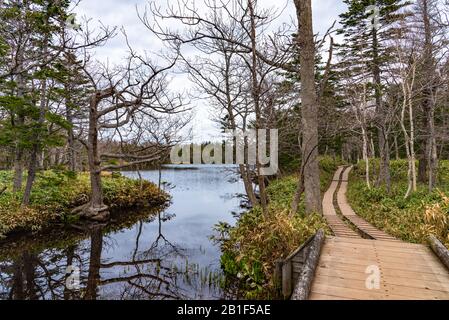 Le Troisième Lac De Shiretoko Goko Cinq Lacs. Chaîne de montagnes vallonnés et bois au printemps. Parc National De Shiretoko. Shari, Hokkaido, Japon Banque D'Images