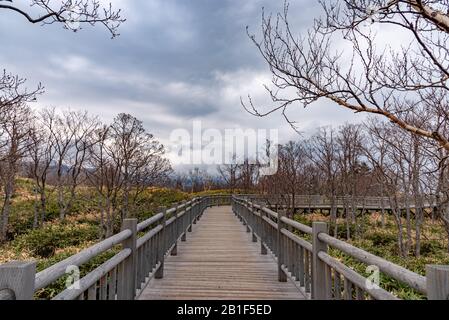 Shiretoko Goko Five Lakes Dans Le Parc National De Shiretoko. Les touristes peuvent marcher sur la promenade en bois surélevée. Shari, Hokkaido, Japon Banque D'Images