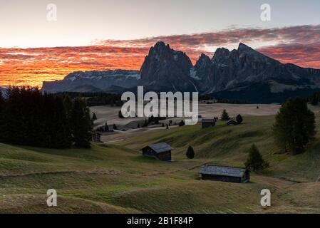 Lever Du Soleil, Alpe Di Siusi, Sassolungo, Plattkofel, Tyrol Du Sud, Italie Banque D'Images