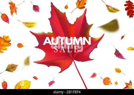 Bannière de vente d'automne. Modèle de vente de saison avec feuilles en chute libre, remise sur les feuilles en chute libre et illustration vectorielle d'arrière-plan de la brochure d'automne Illustration de Vecteur